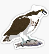 Osprey Sticker