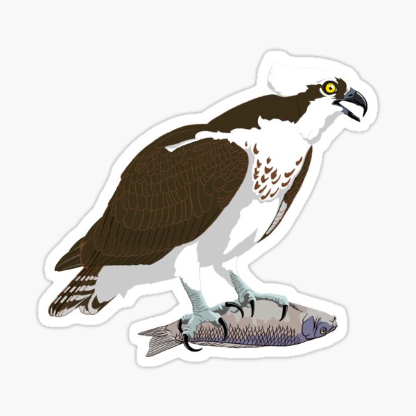Osprey Sticker