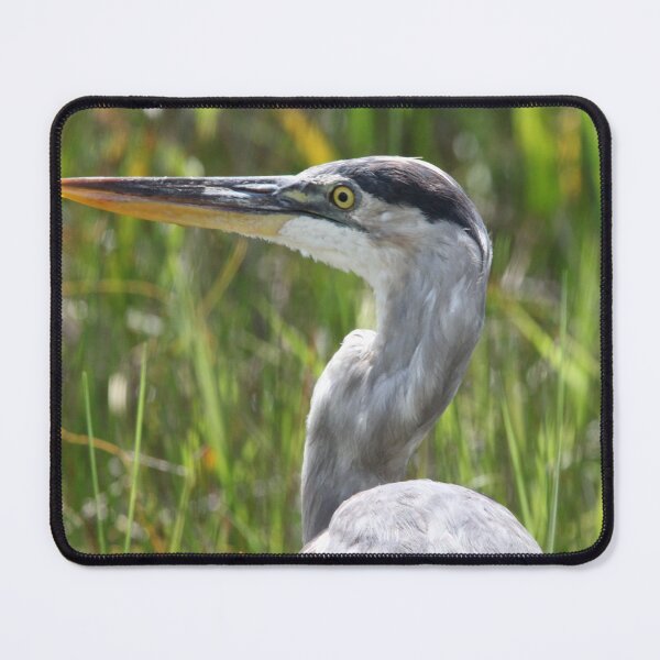 Item preview, Great Blue Heron designed and sold by chrisnature.