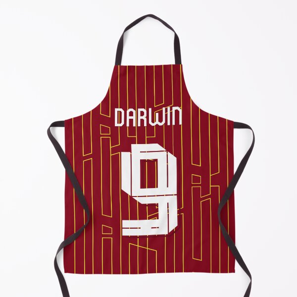 Item preview, Darwin Nunez 9 Liverpool Home jersey 24/25 designed and sold by Alimator.