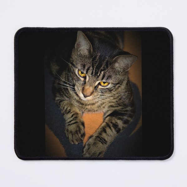 Item preview, Fierce Kitty designed and sold by craftsbydaphy.