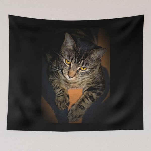 Item preview, Fierce Kitty designed and sold by craftsbydaphy.