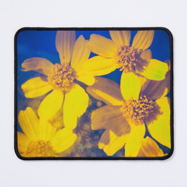 Item preview, Winter Asters designed and sold by ElderIslesPress.