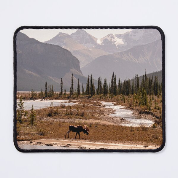 Item preview, Majestic Moose in the Canadian Rockies designed and sold by Av8Photography.