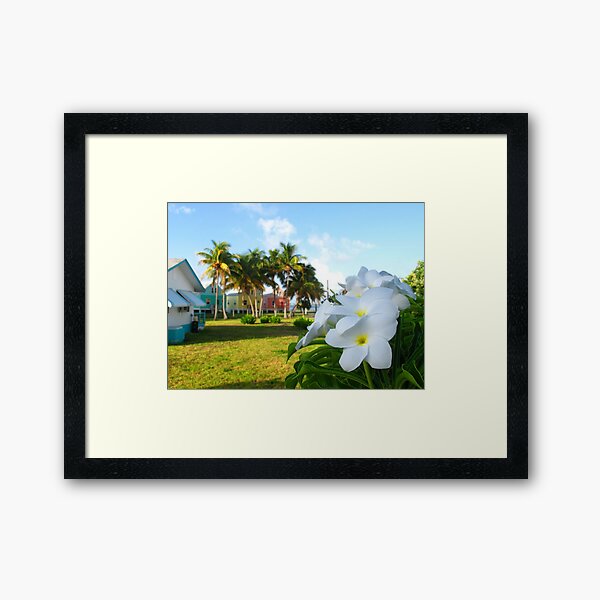 Colourful Cottages Framed Art Print
