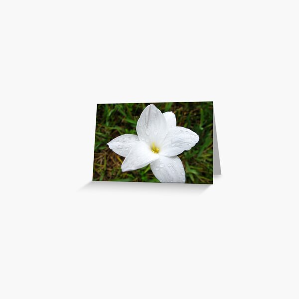 Raindrops on White Flower Greeting Card