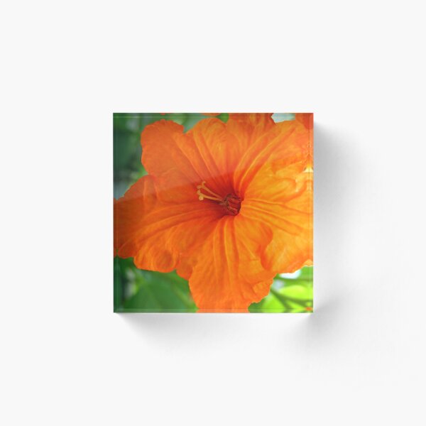 Orange Flower Acrylic Block