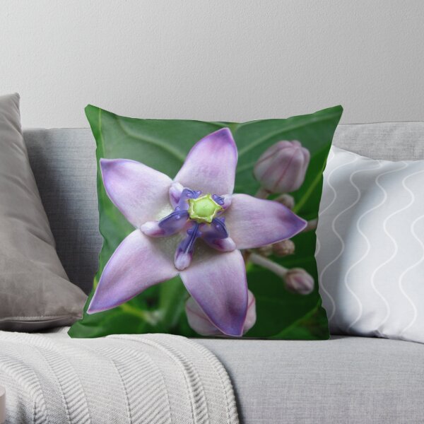 Giant Milkweed Purple Throw Pillow