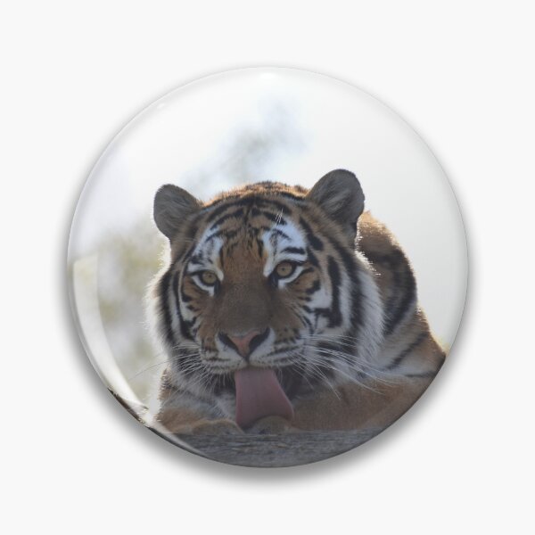Item preview, Amur Tiger designed and sold by megjayne-photos.
