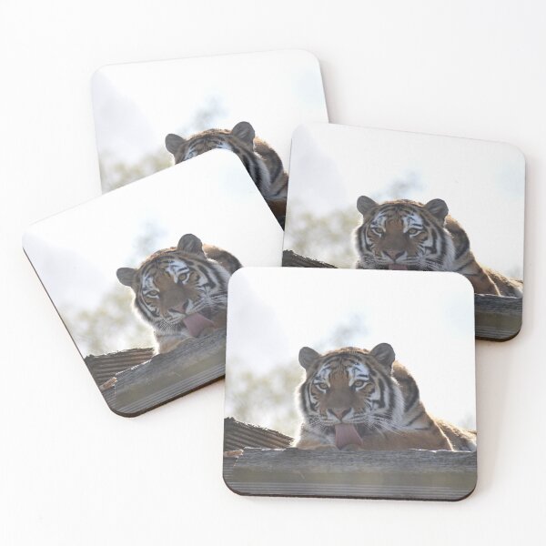 Item preview, Amur Tiger designed and sold by megjayne-photos.
