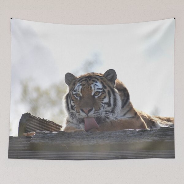 Item preview, Amur Tiger designed and sold by megjayne-photos.