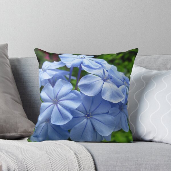 Item preview, Plumbago Bloom  designed and sold by AmandaDiedrick.