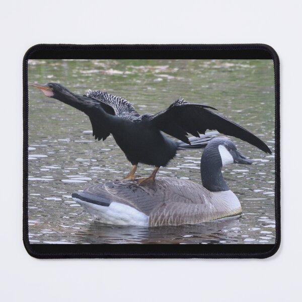 Item preview, Isn't This What A Decoy Is For? designed and sold by Judy Geller.