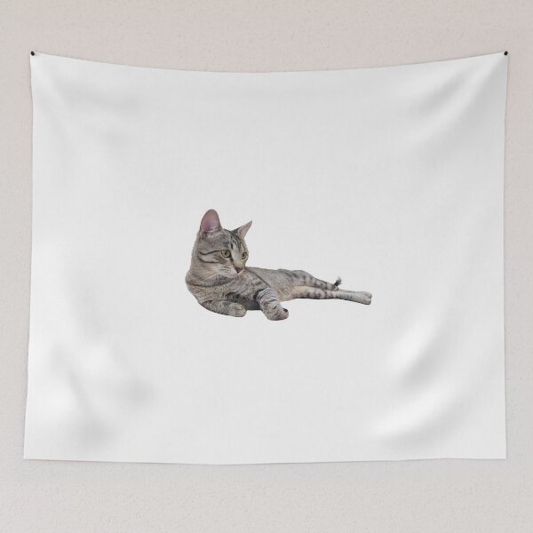 Item preview, Cat in Sprawled Position designed and sold by r105.