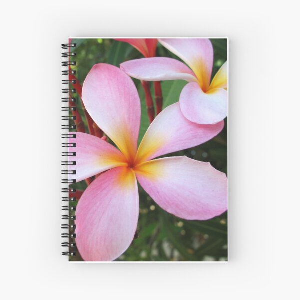 Pink Frangipani (Plumeria) Spiral Notebook