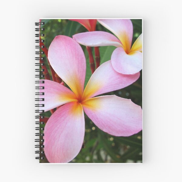 Item preview, Pink Frangipani (Plumeria)  designed and sold by AmandaDiedrick.