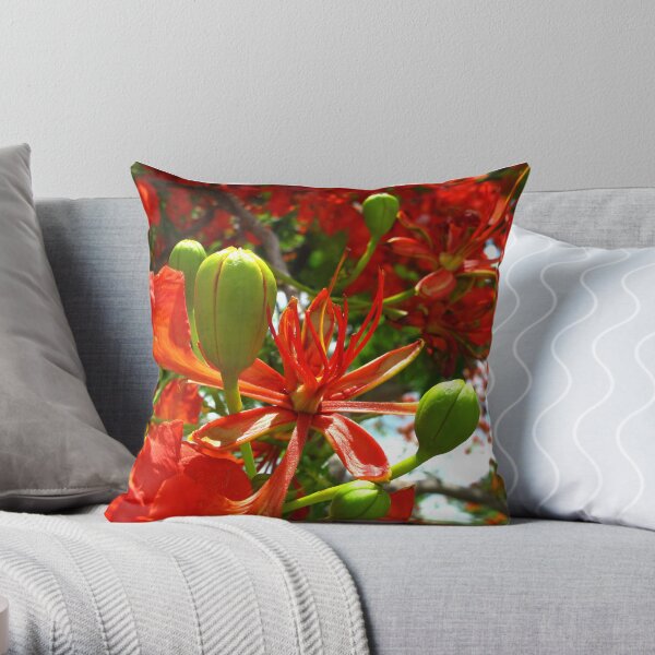Royal Poinciana Bloom II Throw Pillow