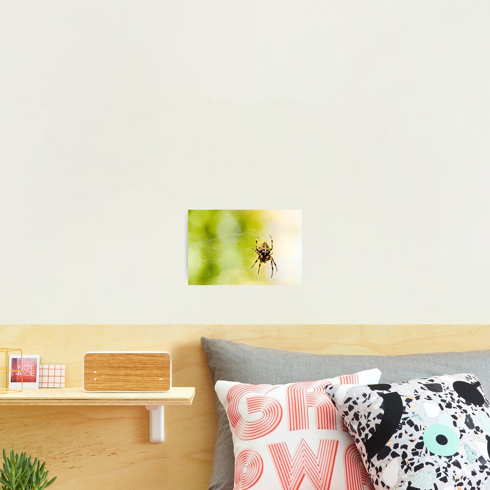 Item preview, Photographic Print designed and sold by DaogreerEarth.