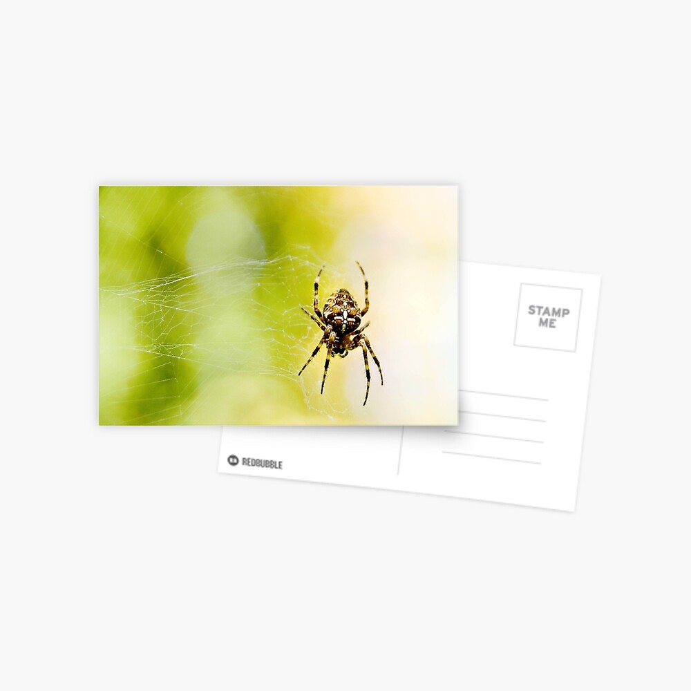 Item preview, Postcard designed and sold by DaogreerEarth.