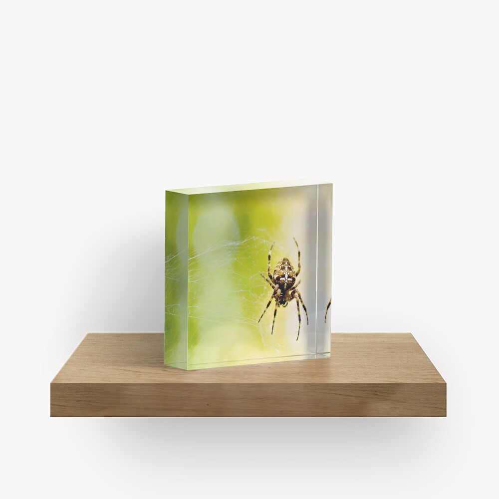 Item preview, Acrylic Block designed and sold by DaogreerEarth.