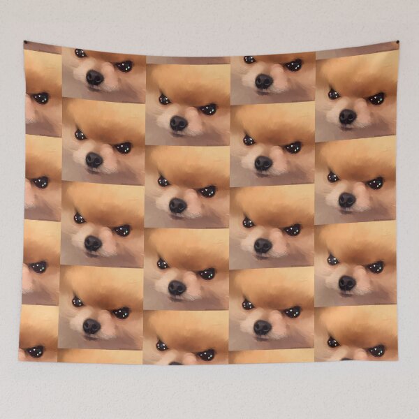 Item preview, Spitz with shiny eyes designed and sold by PintAura.