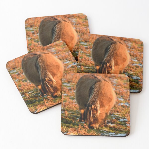 Item preview, Golden Hour Dartmoor Pony designed and sold by Harry Baker.