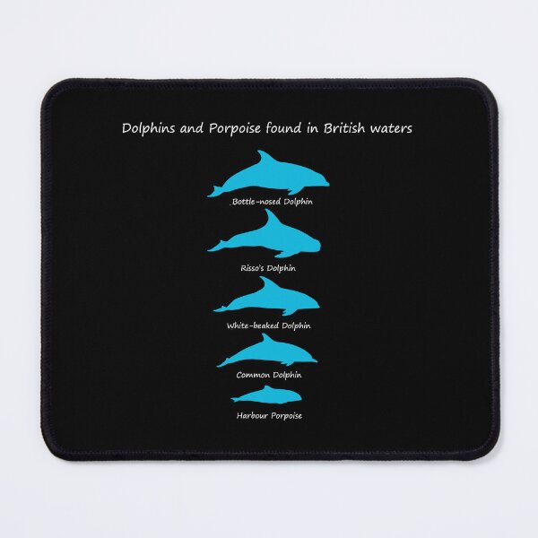 Item preview, Dolphins and Porpoise found in British Waters designed and sold by SteveEvansArt.