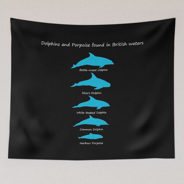 Item preview, Dolphins and Porpoise found in British Waters designed and sold by SteveEvansArt.