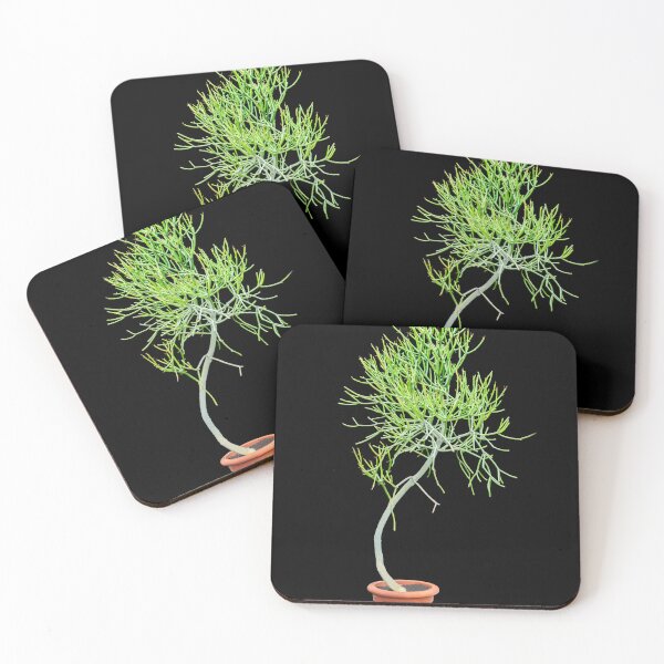 Item preview, Pencil Cactus 8x10 X102 designed and sold by RichFrancoCars.