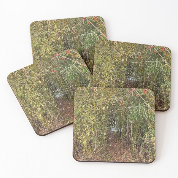 Item preview, Path in the Bamboo Forrest  designed and sold by CJRPics.