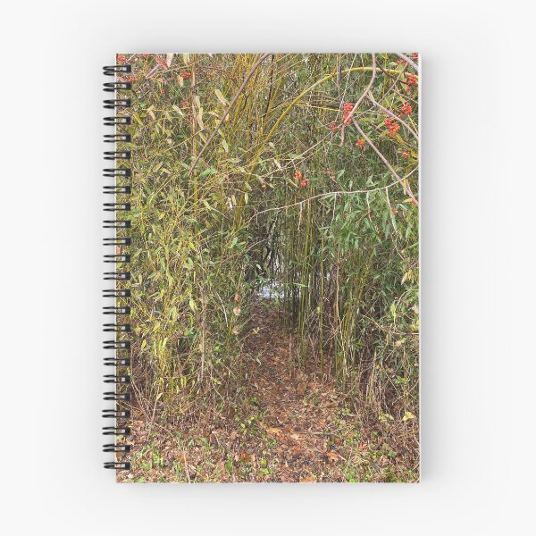 Item preview, Path in the Bamboo Forrest  designed and sold by CJRPics.