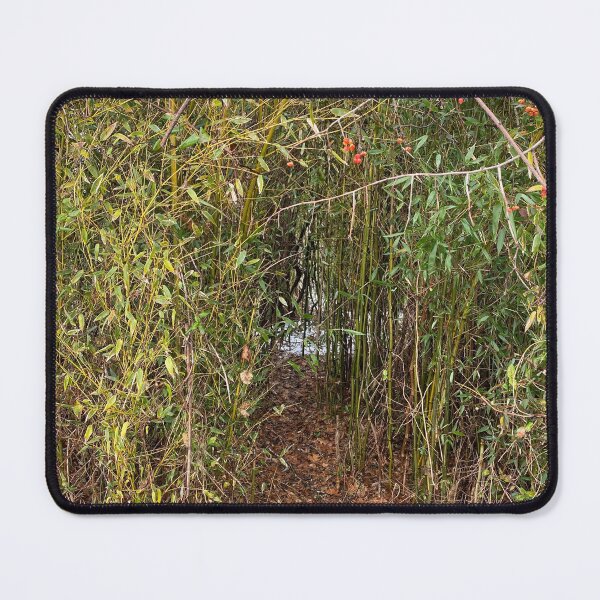 Item preview, Path in the Bamboo Forrest  designed and sold by CJRPics.