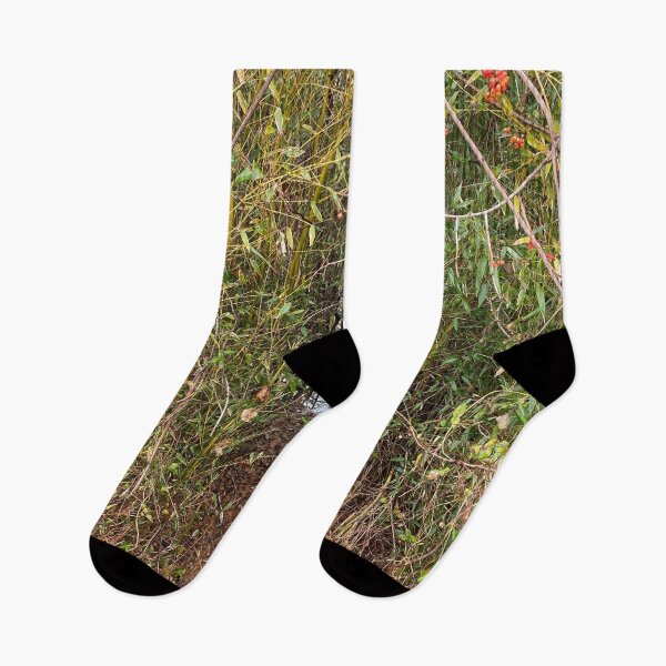 Item preview, Path in the Bamboo Forrest  designed and sold by CJRPics.