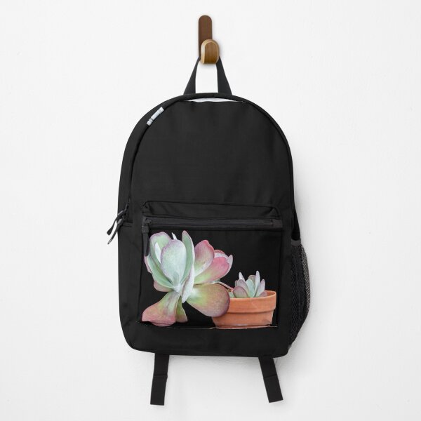 Item preview, Flapjack Plant Kalanchoe X101 designed and sold by RichFrancoCars.