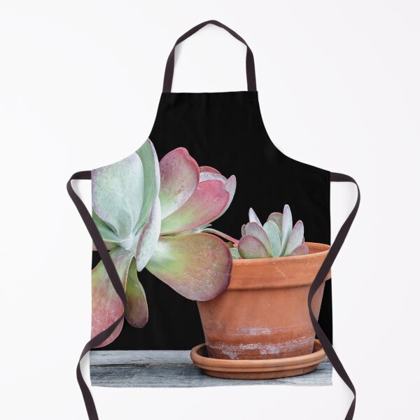 Item preview, Flapjack Plant Kalanchoe X101 designed and sold by RichFrancoCars.