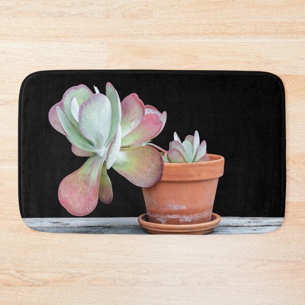 Item preview, Flapjack Plant Kalanchoe X101 designed and sold by RichFrancoCars.