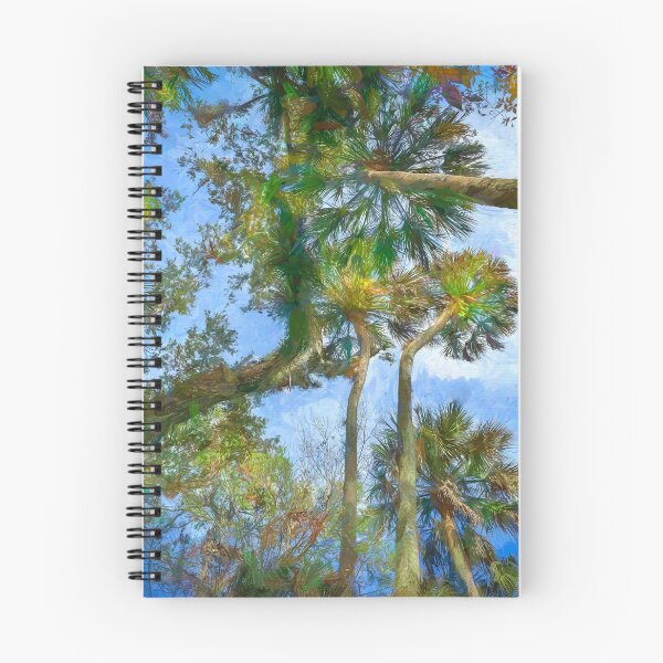 Item preview, Hghland Hammocks Sky State Park Florida X100 designed and sold by RichFrancoCars.
