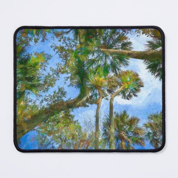 Item preview, Hghland Hammocks Sky State Park Florida X100 designed and sold by RichFrancoCars.