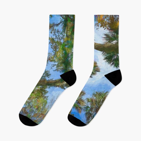 Item preview, Hghland Hammocks Sky State Park Florida X100 designed and sold by RichFrancoCars.
