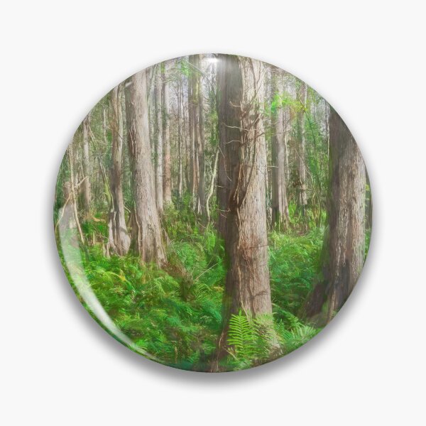 Item preview, Cypress Trees Highland Hammocks Sky State Park Florida X100 designed and sold by RichFrancoCars.