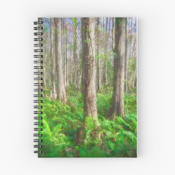 Item preview, Cypress Trees Highland Hammocks Sky State Park Florida X100 designed and sold by RichFrancoCars.