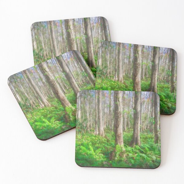 Item preview, Cypress Trees Highland Hammocks Sky State Park Florida X100 designed and sold by RichFrancoCars.