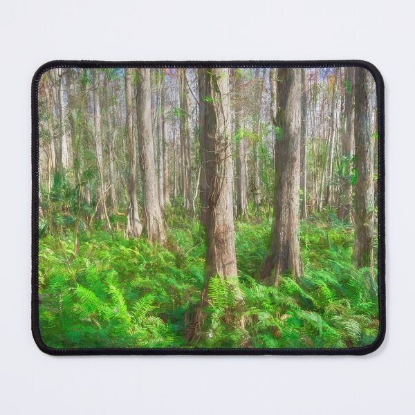 Item preview, Cypress Trees Highland Hammocks Sky State Park Florida X100 designed and sold by RichFrancoCars.