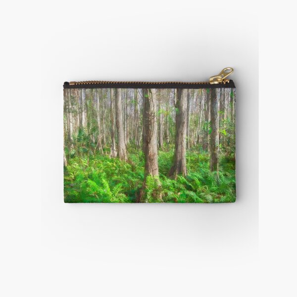 Item preview, Cypress Trees Highland Hammocks Sky State Park Florida X100 designed and sold by RichFrancoCars.