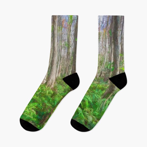 Item preview, Cypress Trees Highland Hammocks Sky State Park Florida X100 designed and sold by RichFrancoCars.