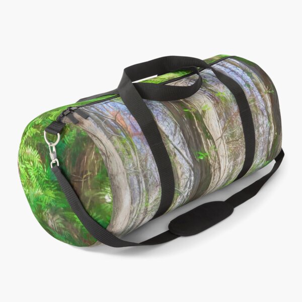 Item preview, Cypress Trees Highland Hammocks Sky State Park Florida X100 designed and sold by RichFrancoCars.