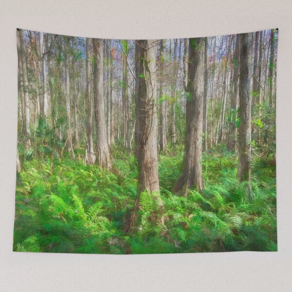 Item preview, Cypress Trees Highland Hammocks Sky State Park Florida X100 designed and sold by RichFrancoCars.