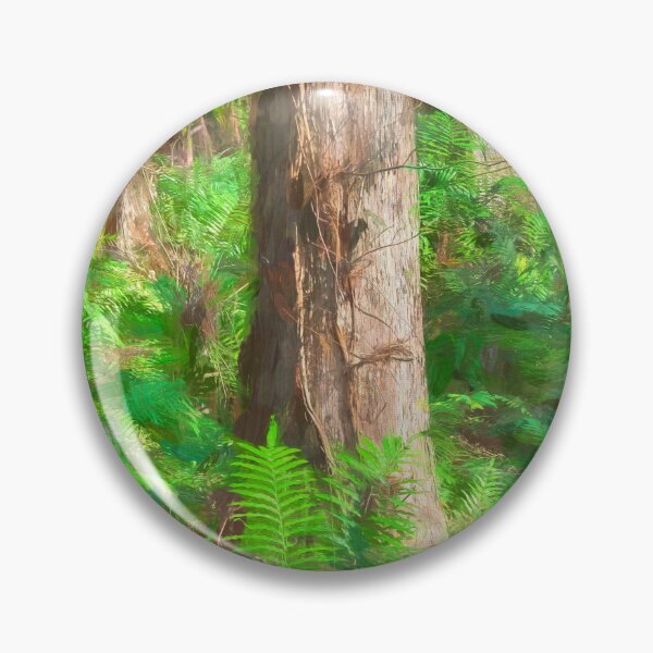 Item preview, Cypress Trees Highland Hammocks Sky State Park Florida X100 designed and sold by RichFrancoCars.