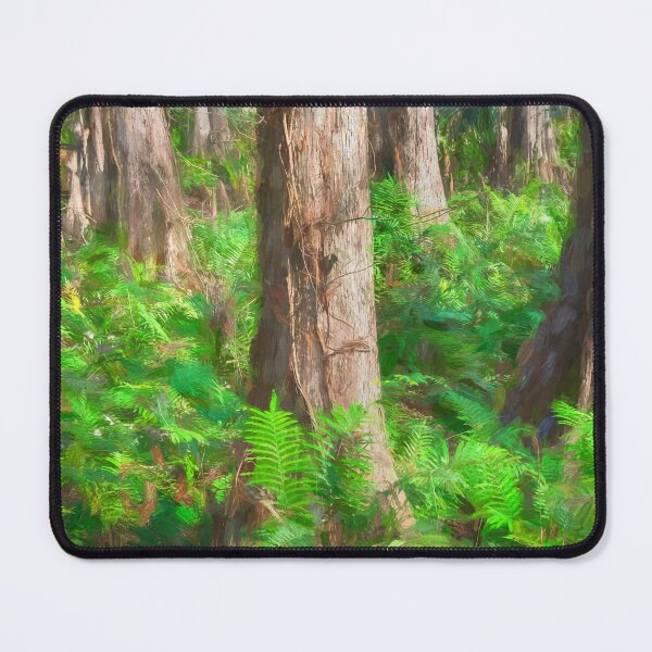 Item preview, Cypress Trees Highland Hammocks Sky State Park Florida X100 designed and sold by RichFrancoCars.
