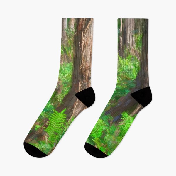 Item preview, Cypress Trees Highland Hammocks Sky State Park Florida X100 designed and sold by RichFrancoCars.